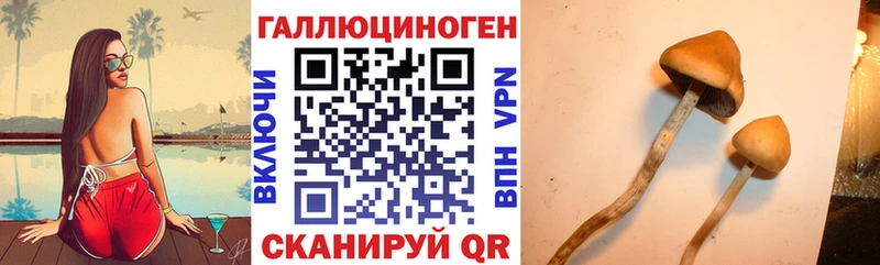 закладки  Райчихинск  Галлюциногенные грибы прущие грибы 